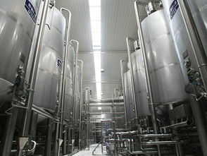 葡萄酒加工设备 温州尚运轻工sell 草莓酒生产线