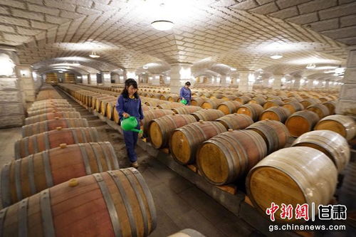 嘉峪关 观城 酒钢不仅生产钢铁 还有亚洲最大葡萄酒窖