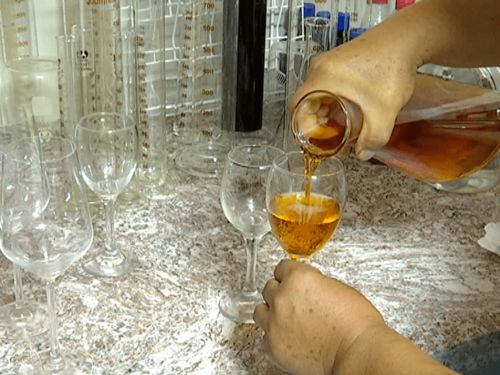 新站林场茂兴营林股 发展林下经济 走生态致富路