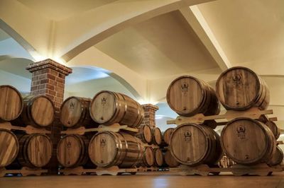 誉马董事长邱邦华:企业创新发展抓住消费者“鼻子”