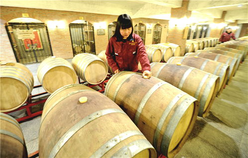 怀来 打造葡萄酒精品聚集区