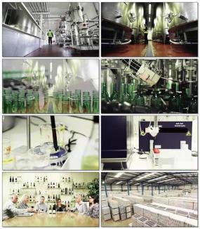 酒加工视频素材下载, 酒加工AE模板下载