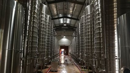 浪吴忠|走进东方裕兴酒庄 感受独特的戈蕊红