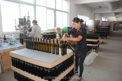 玻璃的世界 蓦然的天空