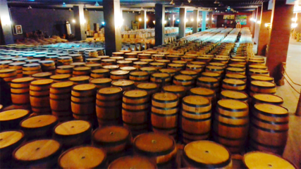 【张掖企业家日】甘肃祁连葡萄酒业有限责任公司:“酿”出高质量发展新气象