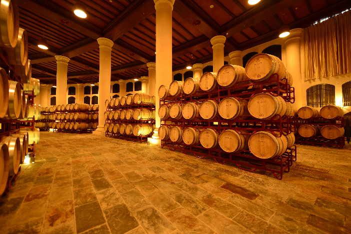 新疆对葡萄酒产业进行调研