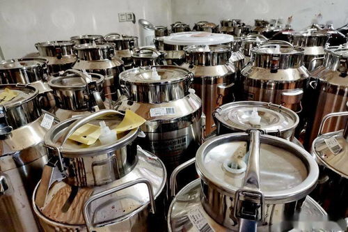 光谷水蓝郡 武汉 枫情堡 原汁原味加拿大葡萄酒 手工酿成