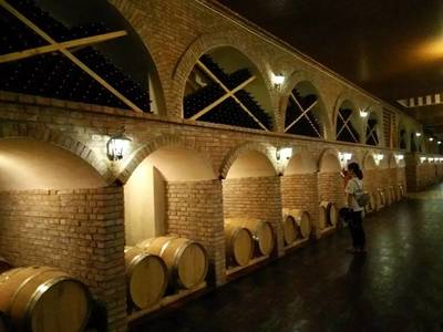 【暑期实践】漫漫丝绸路·醇醇宁夏红