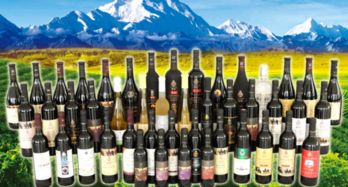 劝君更尽葡萄酒,紫轩红酒伴你美好生活