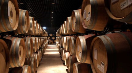 锻造贺兰山下“紫色”长廊 永宁县精心酿造“醉美”产业