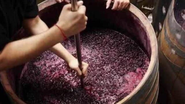 国外高端的葡萄酒,真是用脚踩出来的吗?看完你还敢不敢喝