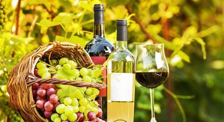 蓝菲葡萄酒学院丨终于搞清楚有机葡萄酒、生物动力法葡萄酒了!