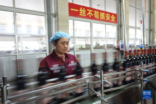 小葡萄撬动大产业