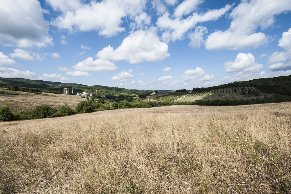托斯卡纳的农产品加工工厂意大利葡萄酒农场四周环绕着葡萄园和橄榄树