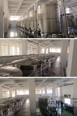 干红葡萄酒酿造所需要的设备 中型葡萄酒发酵灌装设备