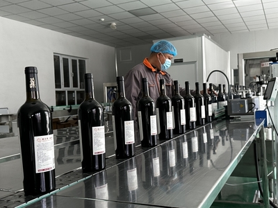 小树莓变身大产业 伊宁市推动特色林果业向优质高效发展