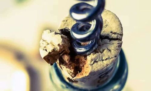 原来红酒瓶塞是这样制造的,和我想的完全不一样,长见识了