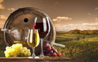 检验检疫部门提醒葡萄酒进口商关注添加剂安全