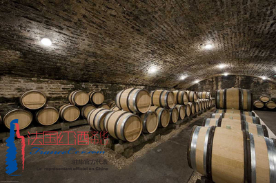 绿色内容的畅想者和孵化商