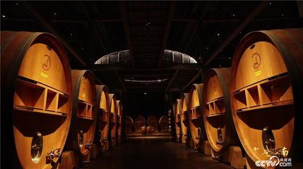 《探索·发现》塞上江南:农业文明与工业文明和谐相处的宜居新宁夏