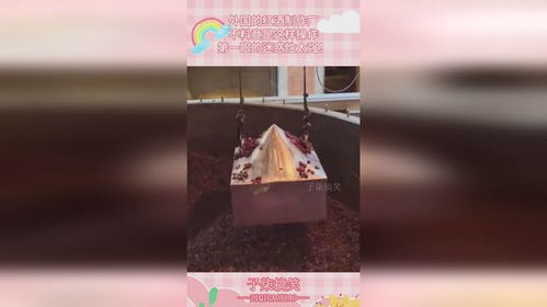 外国的红酒制作厂,不料竟是这样操作,第一眼的迷惑性太强