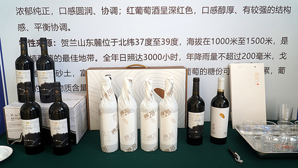 宁夏105件地理标志产品直接年产值48.24亿元