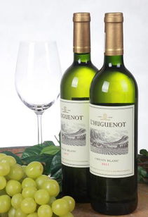 饭局上能喝出美丽 时尚 健康的酒,你选对了吗