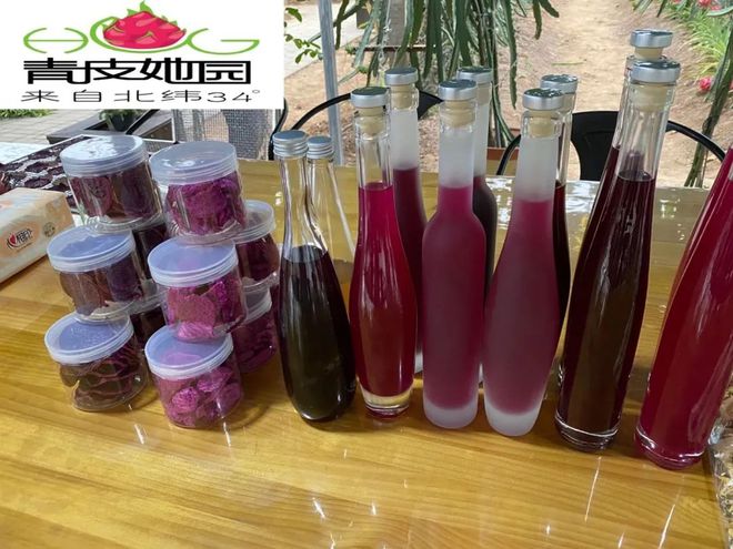 王艳:大胆开拓 创新火龙果“南果北种”产业链新模式