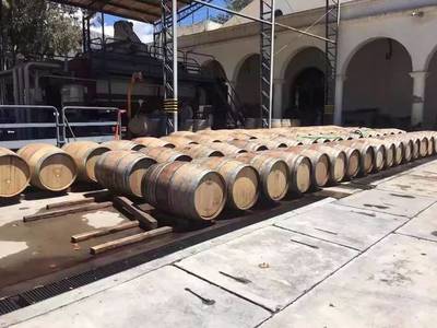 去阿根廷吃羊驼是一种什么样神奇的体验?