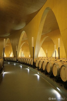 Antión酒庄:提供完美葡萄酒体验的建筑艺术杰作