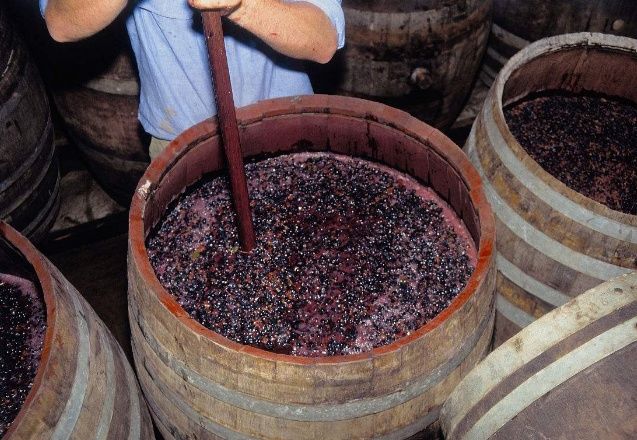 葡萄酒是这样酿造的,你还会嫌它&amp;quot;脏&amp;quot;吗?
