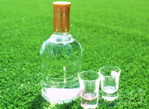 济阳县食药监局对时令食品进行严格检查