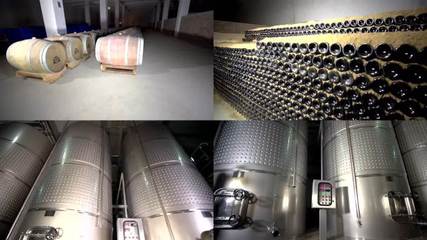 葡萄酒生产葡萄酒生产