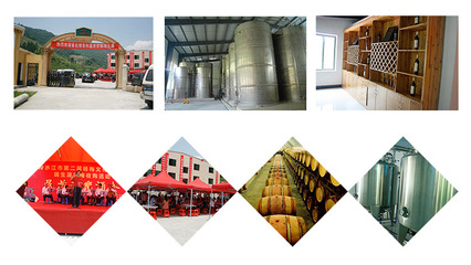 红酒果酒杨梅酒新年春节年货礼品贺酒原产地货源直销微醉养生冰酒