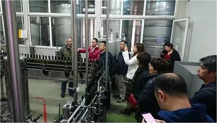 演绎葡萄酒不朽传奇的国度——摩尔多瓦酒庄的魅力与葡萄酒销售前景