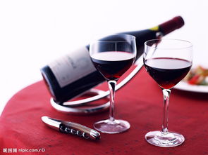 法国原装红酒进口全流程解析 从报关商检到市场销售