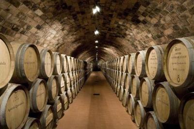 82年的拉菲为何至今仍有售？解析葡萄酒产量与市场流通的奥秘