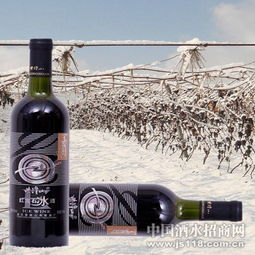 紫隆山红宝石冰酒 品味时光凝萃，共创财富未来——通化紫隆山葡萄酒厂火热招商
