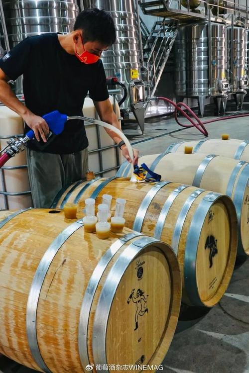 中国葡萄酒新势力 酿松弛的酒，做最“野”的标