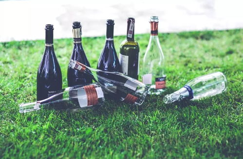 葡萄酒瓶的秘密 如何从外观洞察品质与销售背后