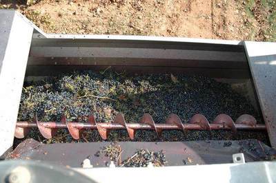 红酒与葡萄酒 名称的由来与工艺的区别