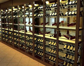 从葡萄到佳酿 解析山东与广西不锈钢酒架生产及葡萄酒加工全产业链