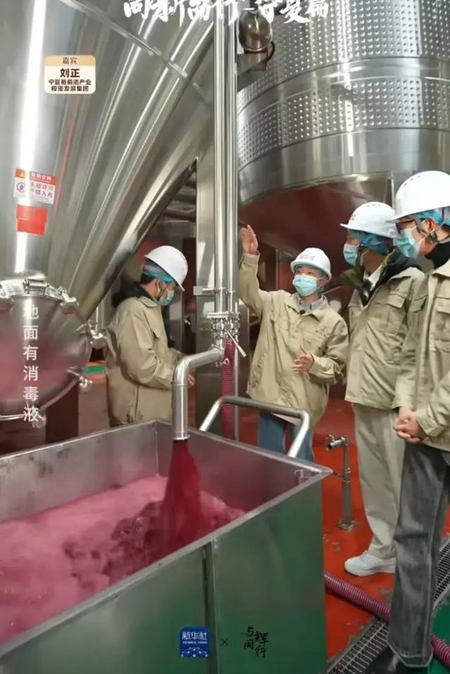 随董宇辉宁夏行 探秘葡萄酒的诞生，品味杯中人生百味