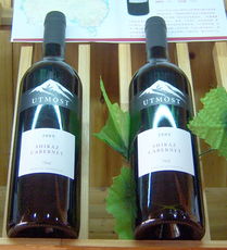 雪山红葡萄酒 探索源头与精湛的酿造工艺